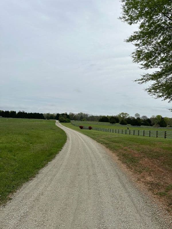 Gravel road winding through green fields under a cloudy sky, surrounded by trees.