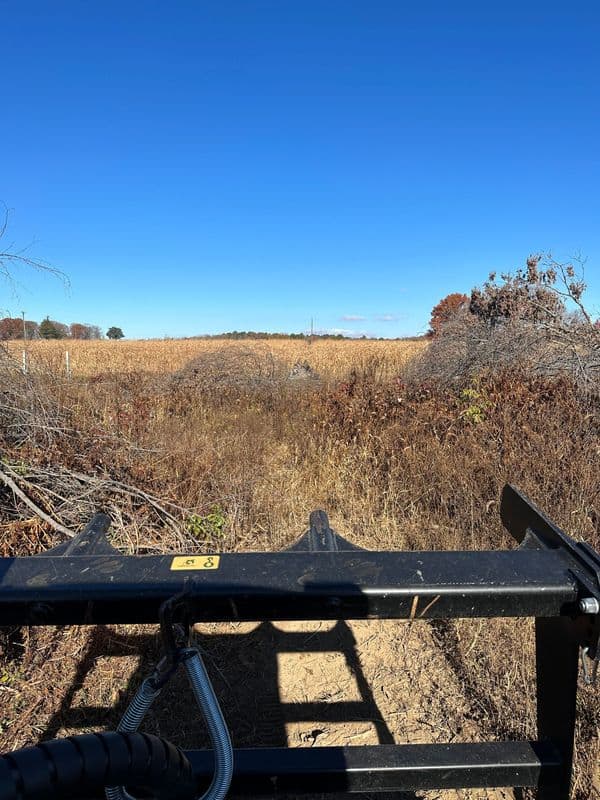 View of an open field with scattered brush and clear blue sky, captured from a vehicle.