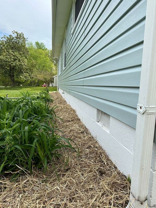 Plant bed with fresh mulch alongside a light blue house exterior on a sunny day.