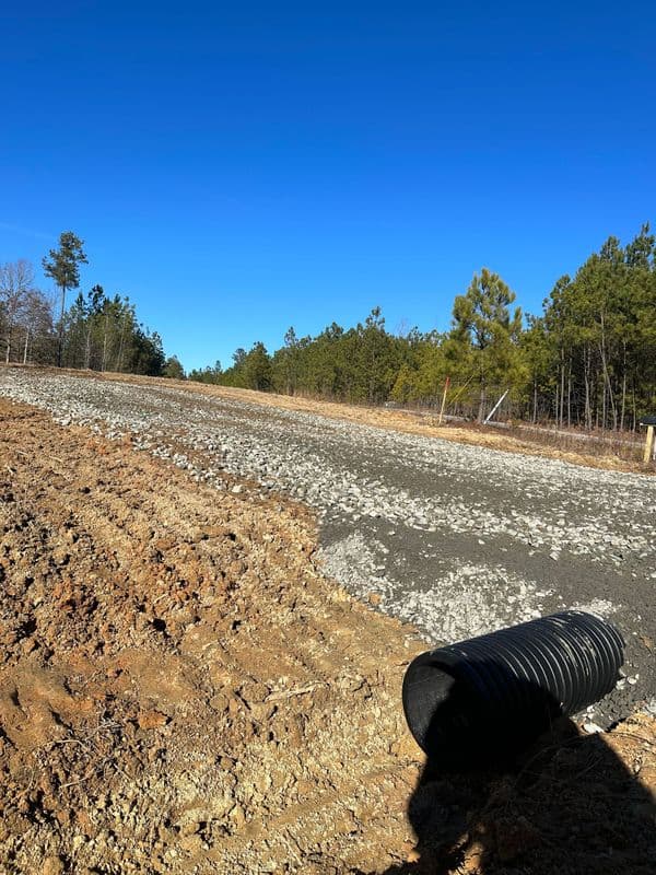 Newly graded dirt road leading into a wooded area with clear blue sky above.