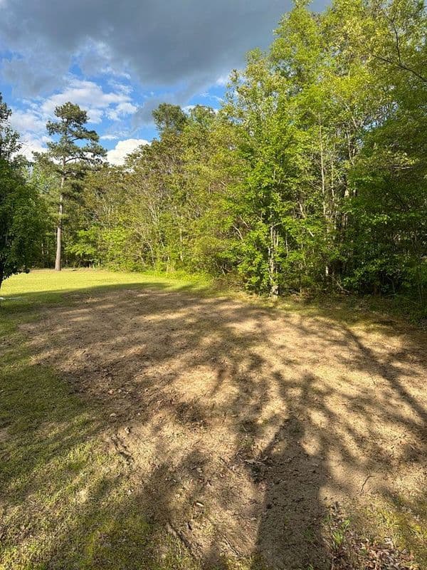 Cleared area in wooded landscape with green trees and blue sky. Ideal for outdoor activities.