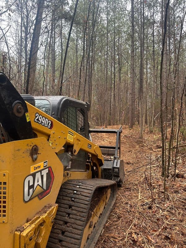 CAT bulldozer clearing a forested path in a wooded area with tall trees.