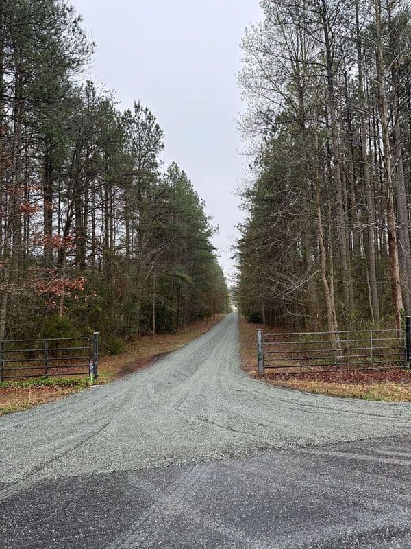 Gravel road leading through a wooded area, bordered by trees, under overcast skies.