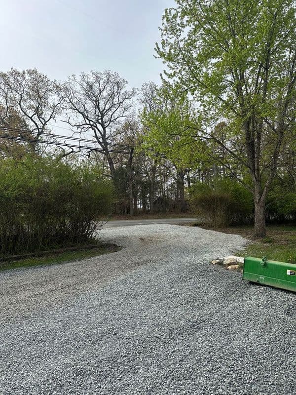 Gravel driveway surrounded by trees and greenery in a serene outdoor setting.