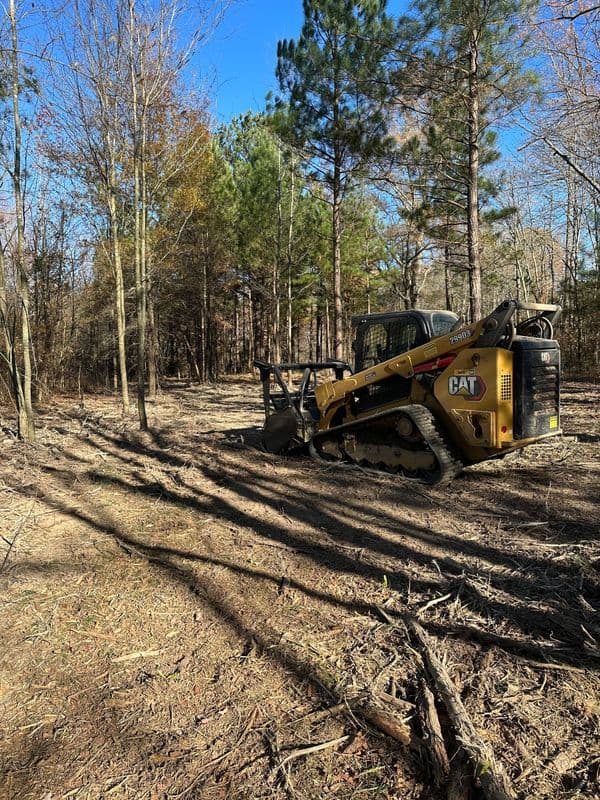 CAT skid steer in a wooded area, clearing debris and preparing the land.