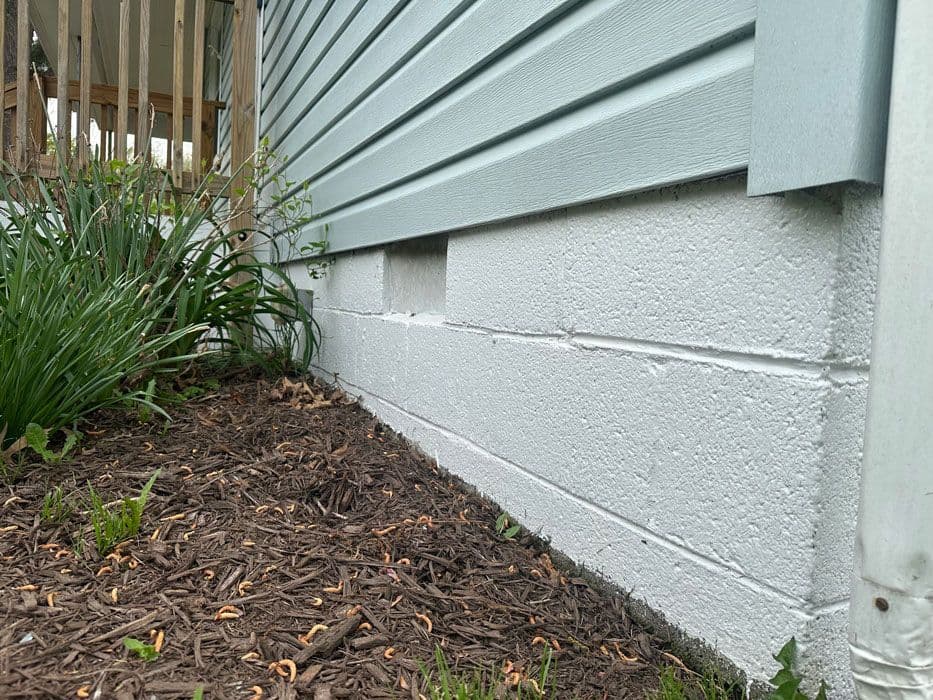 Close-up of a painted white concrete wall next to landscaping and a house's siding.