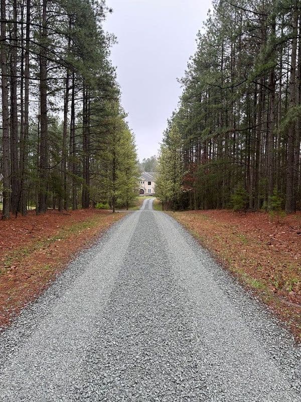 Gravel driveway leading to a house surrounded by tall pine trees and autumn foliage.