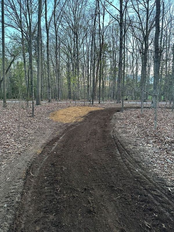 Cleared dirt trail winding through a forest with bare trees and leaf-covered ground.