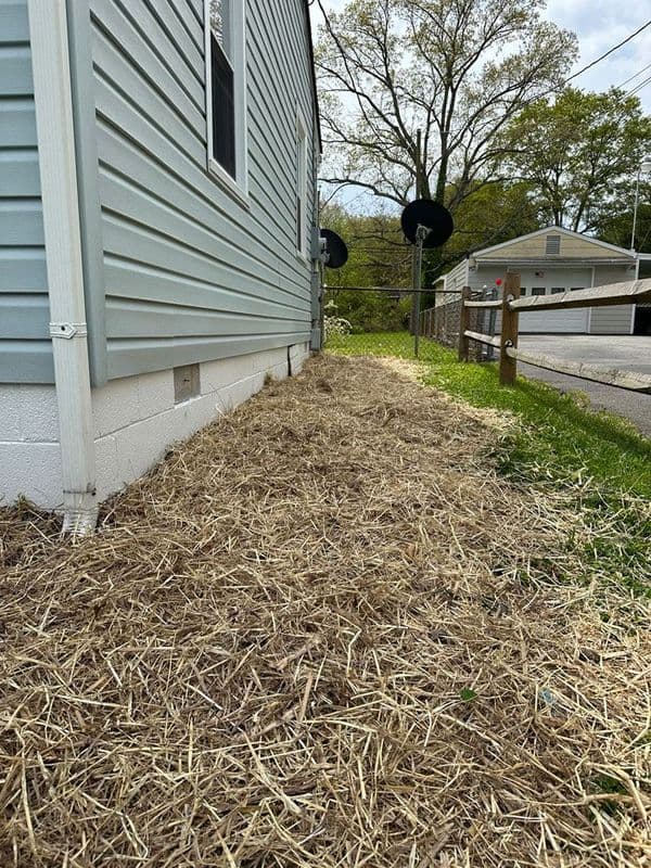 Side of a house featuring straw mulch along the foundation and a fenced yard in the background.