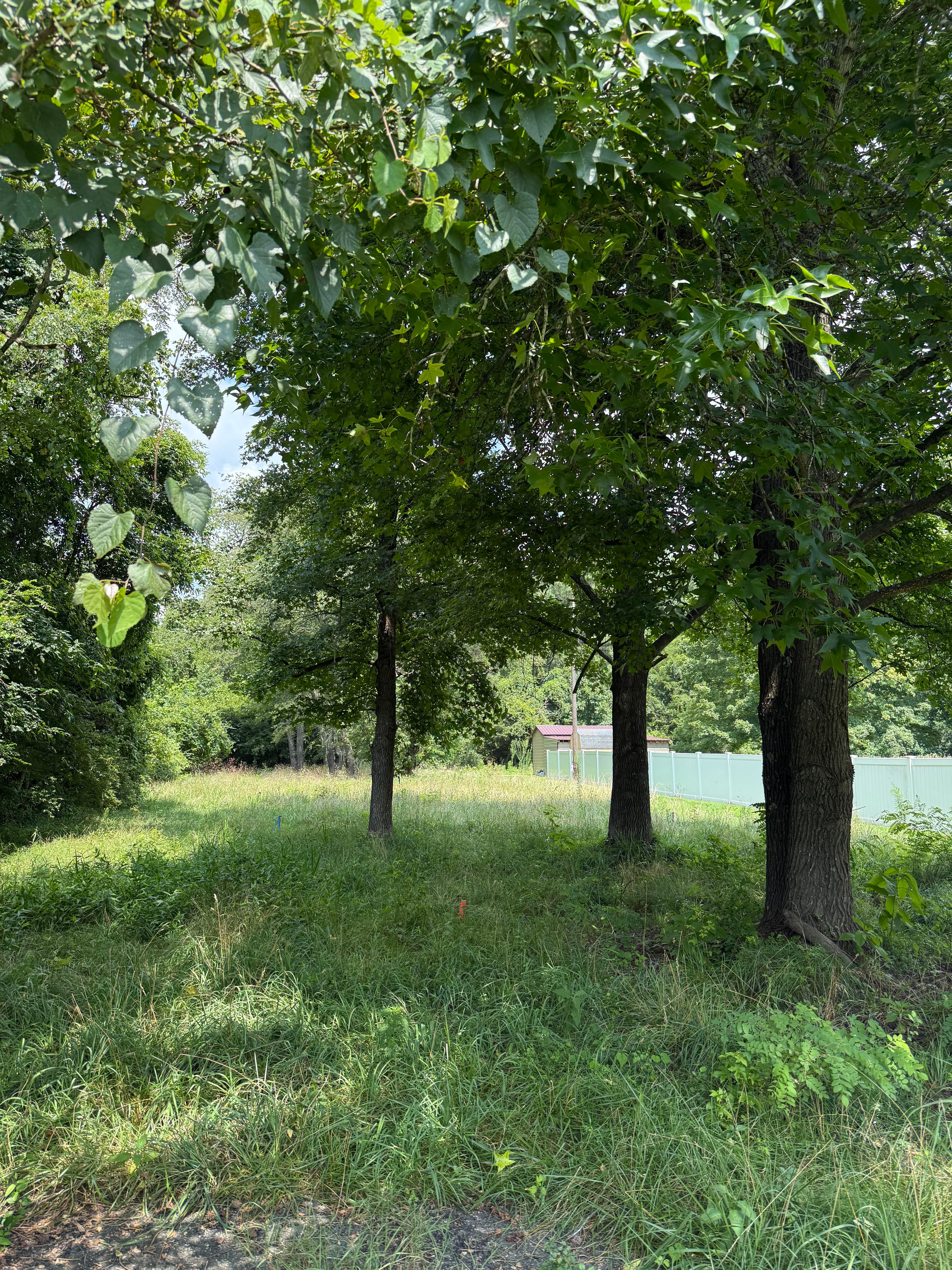 Project Clearing the Path for New Beginnings in Woodford image