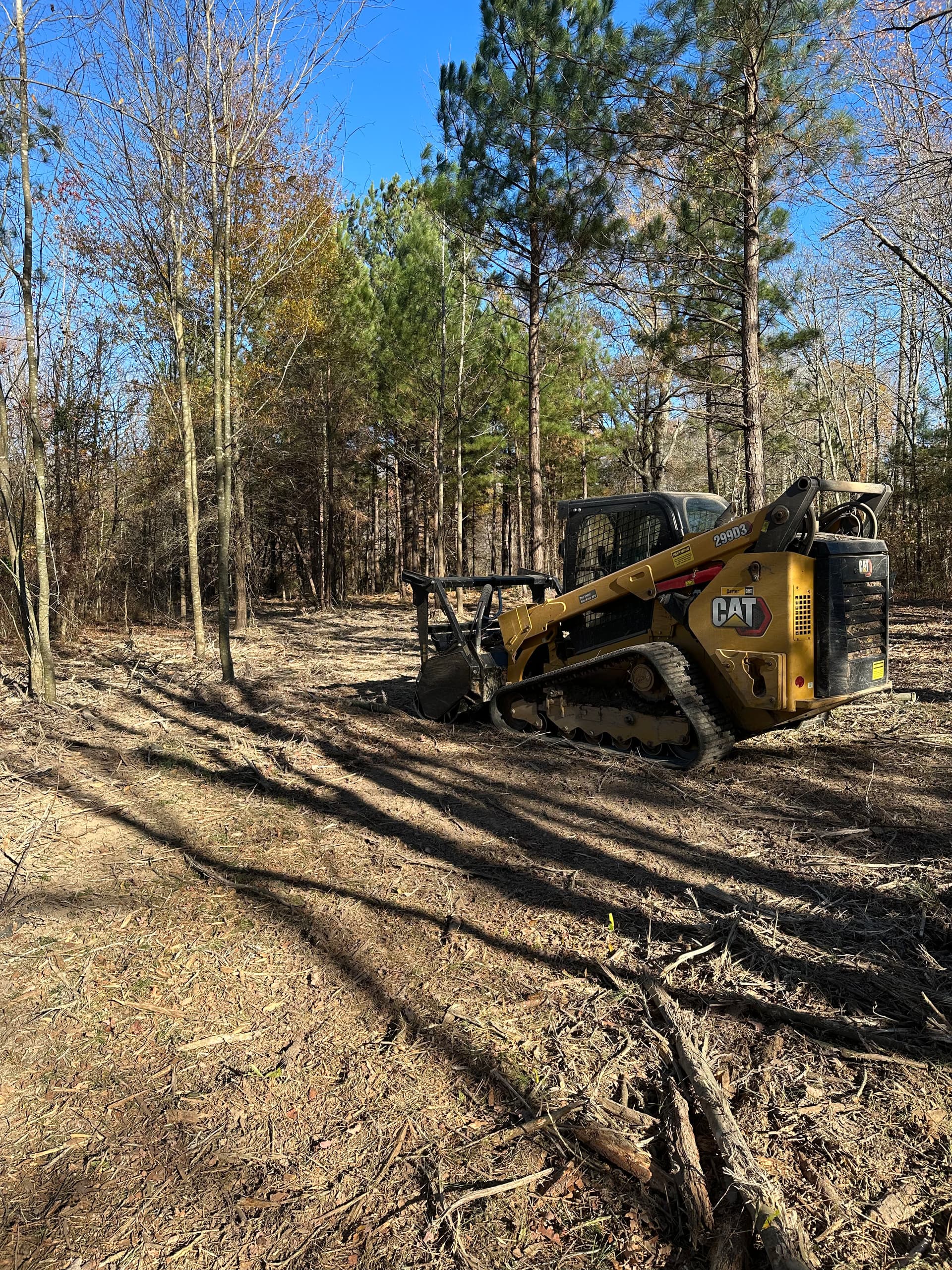 Gallery photos for Forestry Mulching That Opens Up Overgrown Wooded Land: Image #3