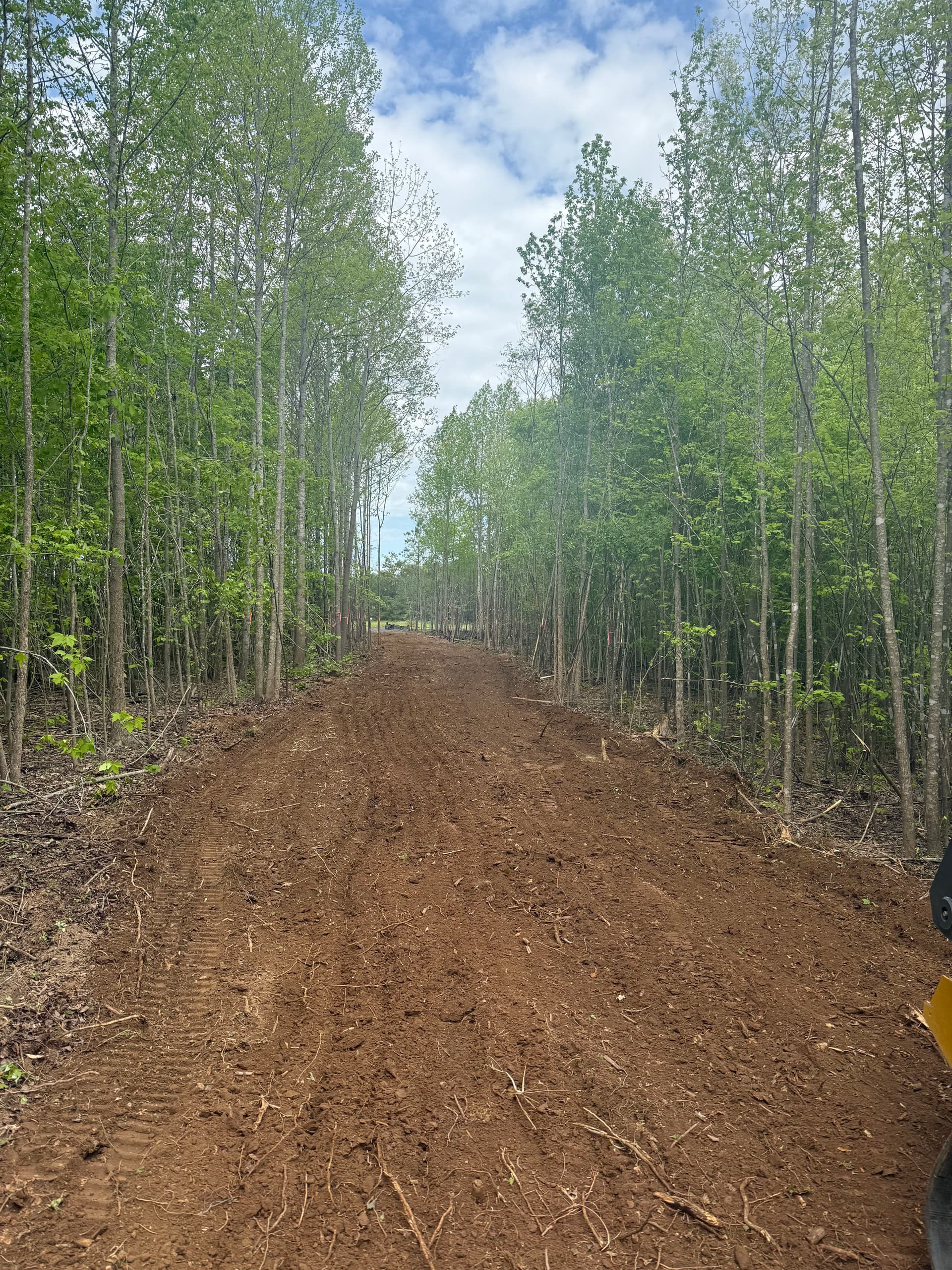 Gallery photos for Wooded Land Cleared and Gravel Driveway Built for New Home Site: Image #3