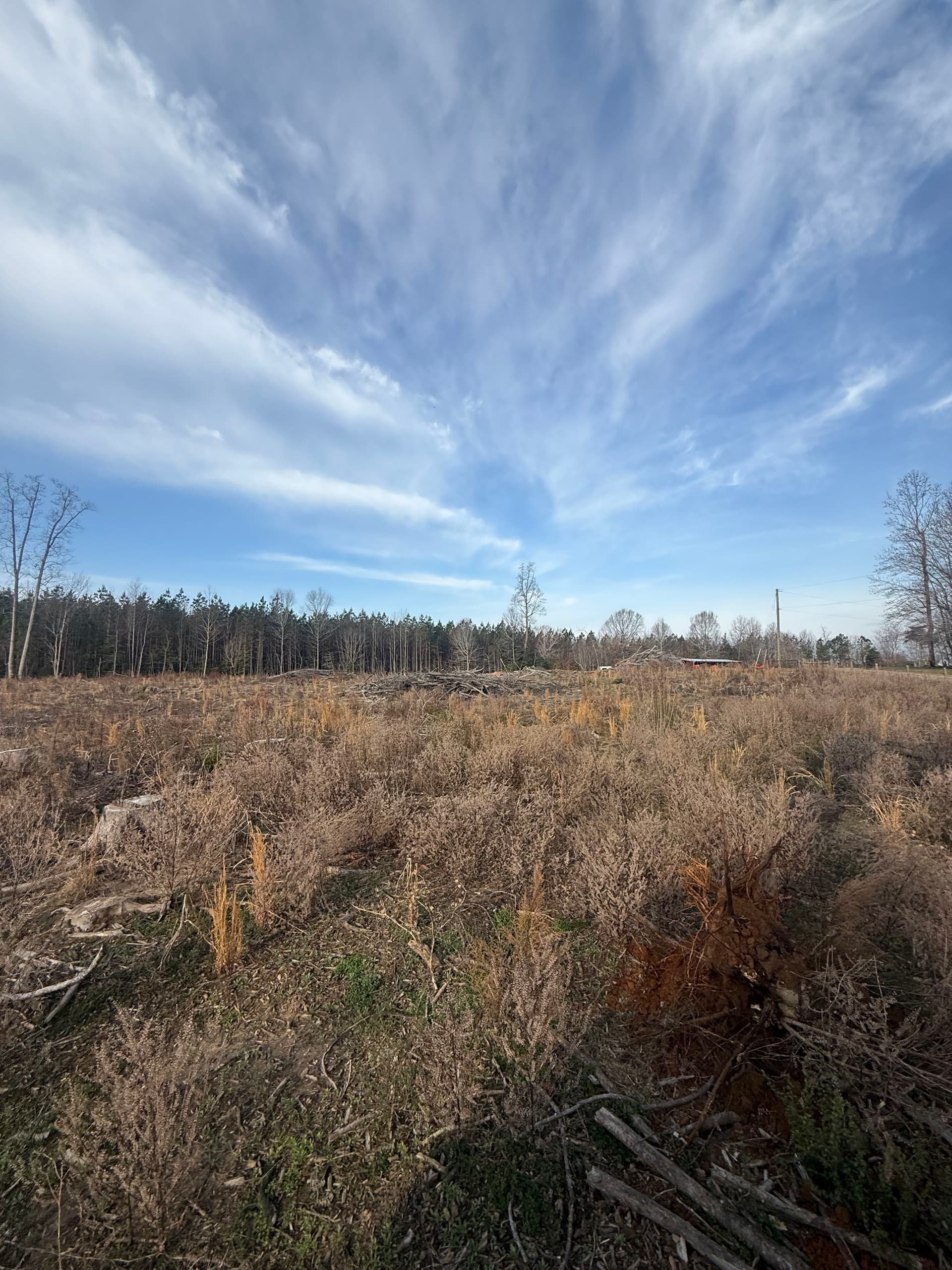 Gallery photos for Land Clearing for New Horse Pasture: Image #1