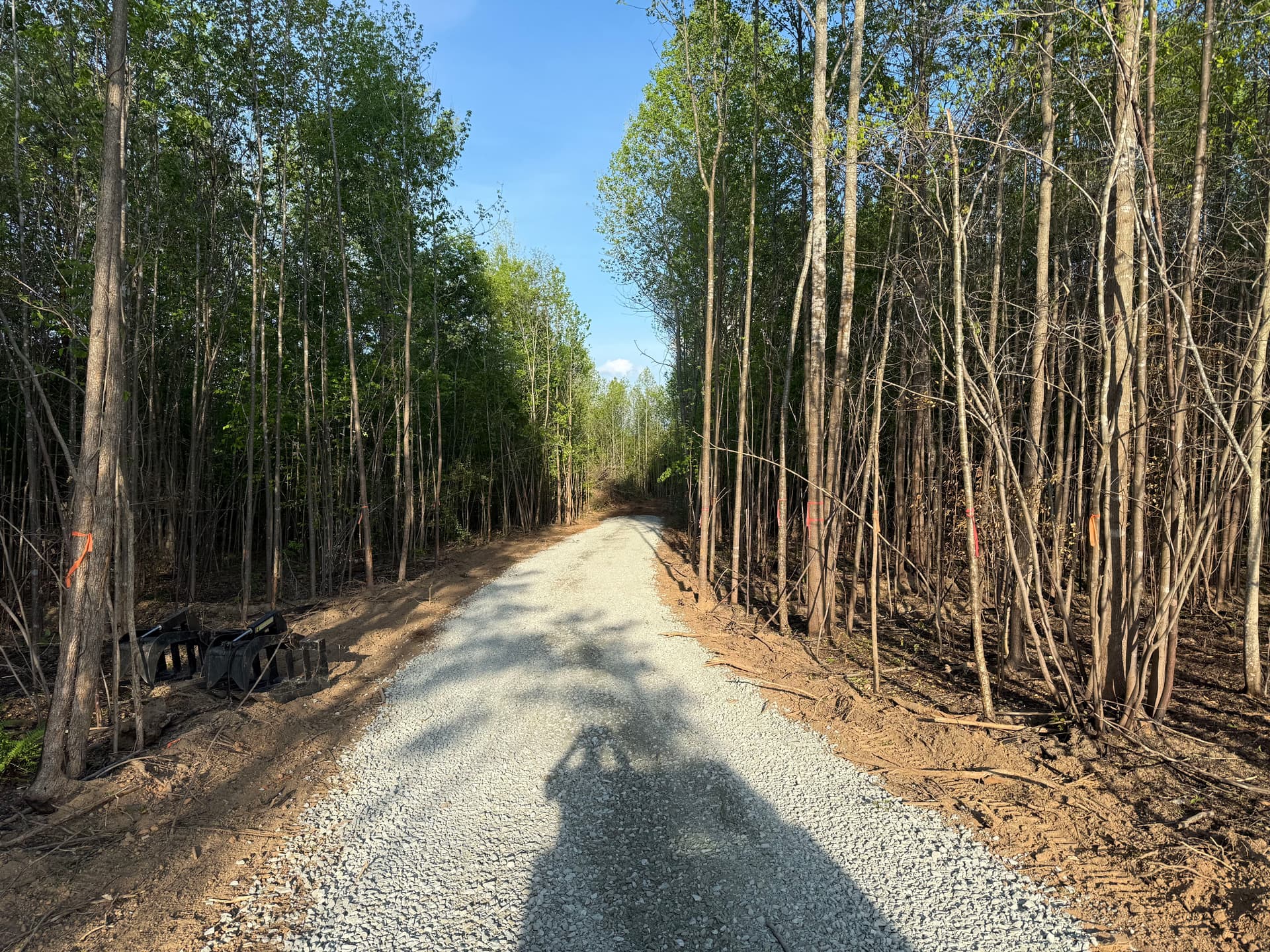 Gallery photos for Wooded Land Cleared and Gravel Driveway Built for New Home Site: Image #4