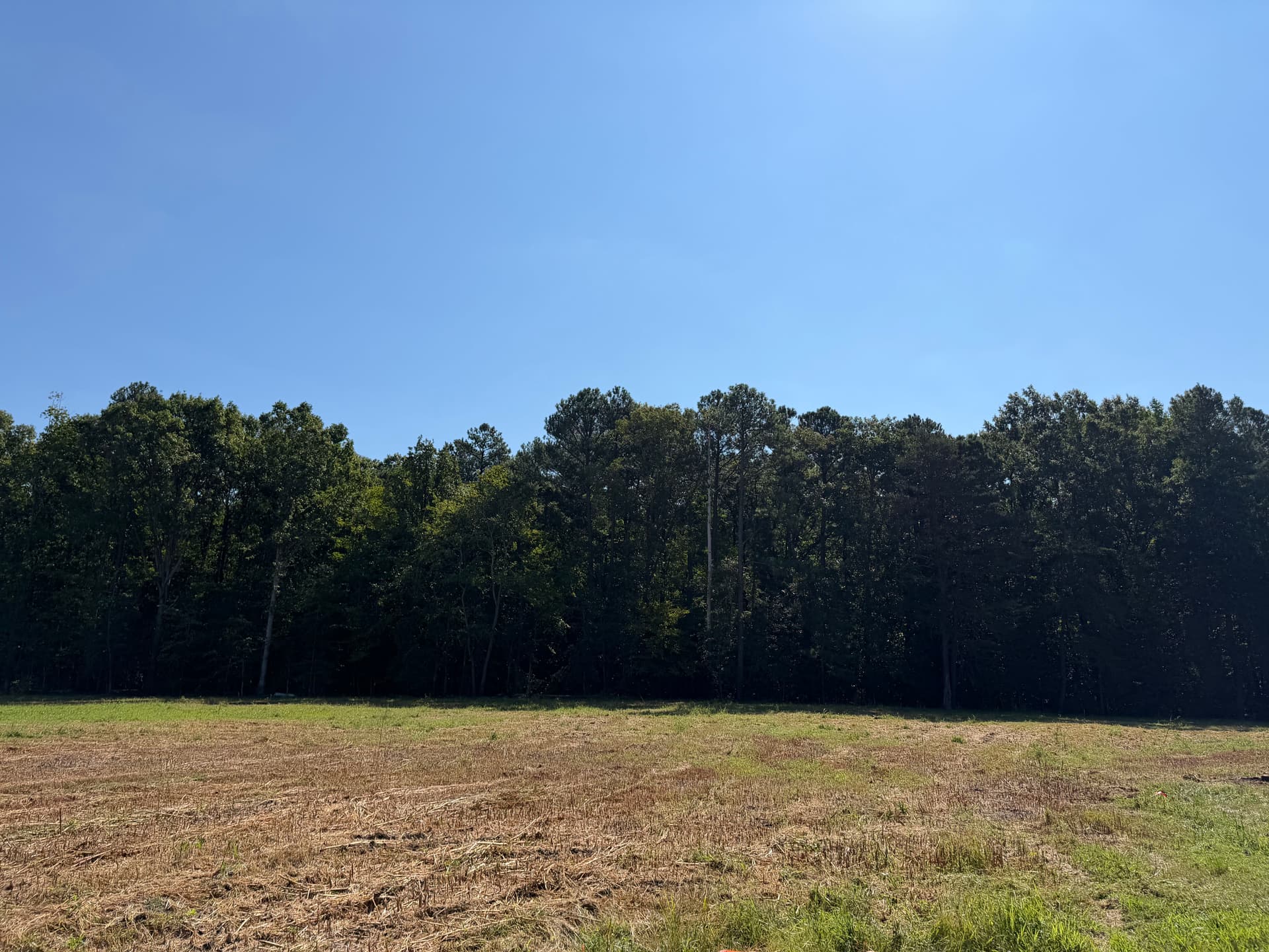 Gallery photos for Overgrown Field Mowed Down and Cleaned Up: Image #2