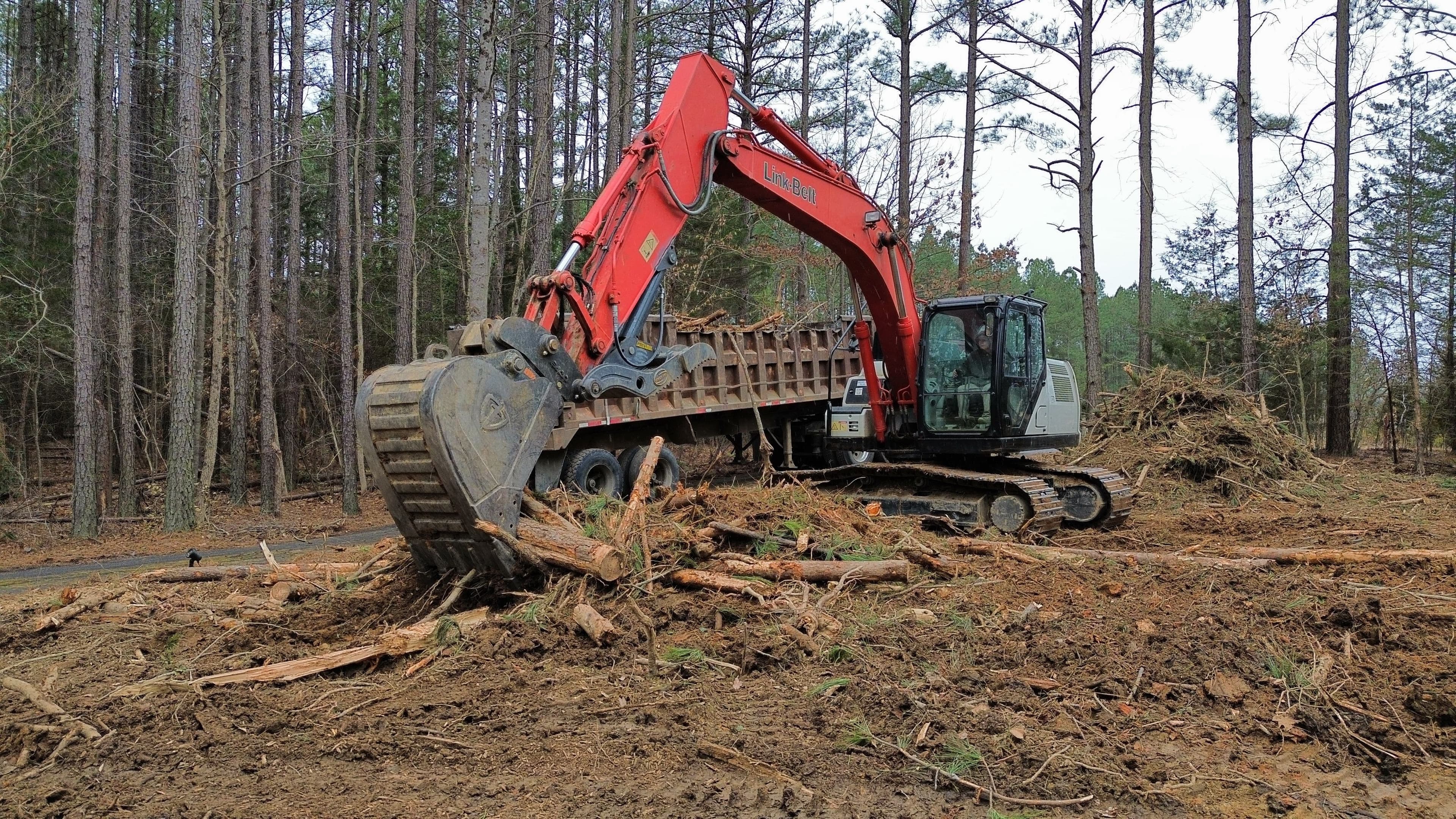 Project Expanding Yard Spaces with Skilled Land Clearing image
