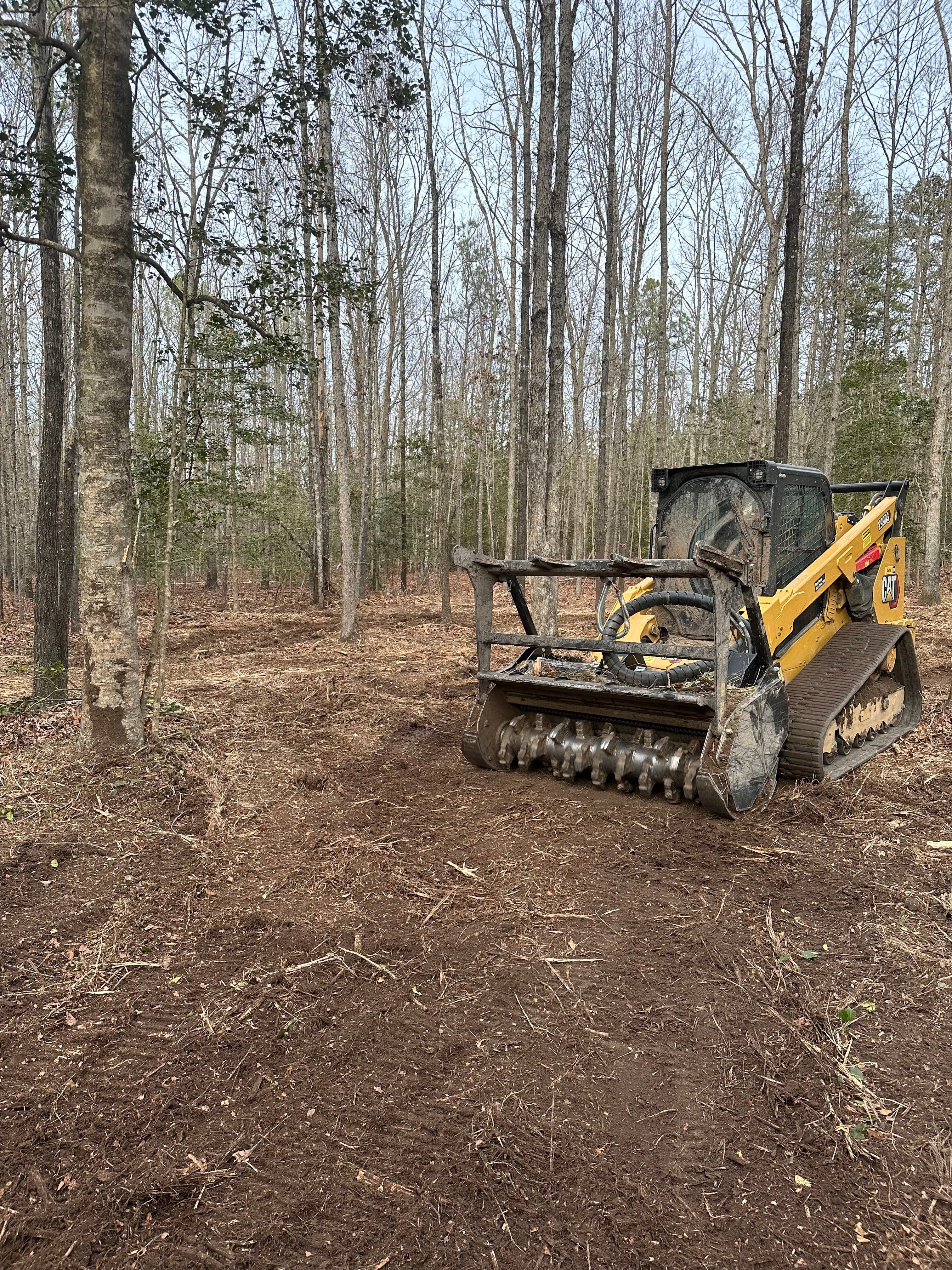 Project Forestry Mulching That Opens Up Overgrown Wooded Land image