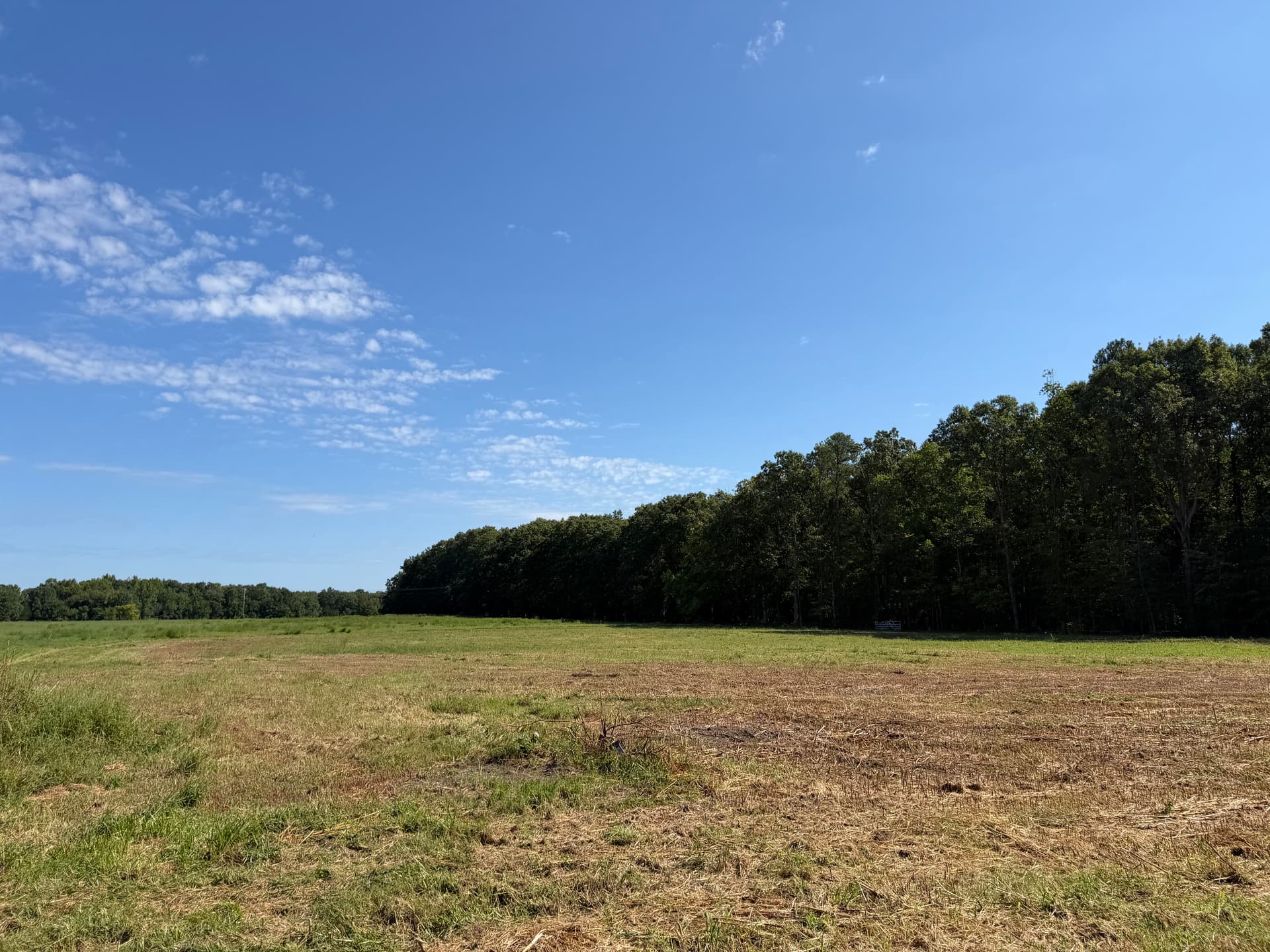 Gallery photos for Overgrown Field Mowed Down and Cleaned Up: Image #1