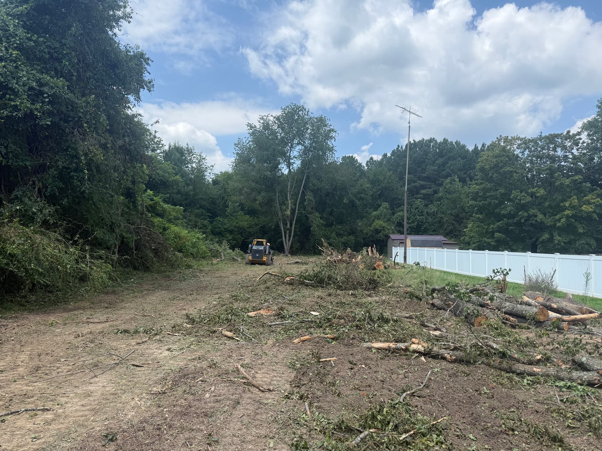 Gallery photos for Clearing the Path for New Beginnings in Woodford: Image #2