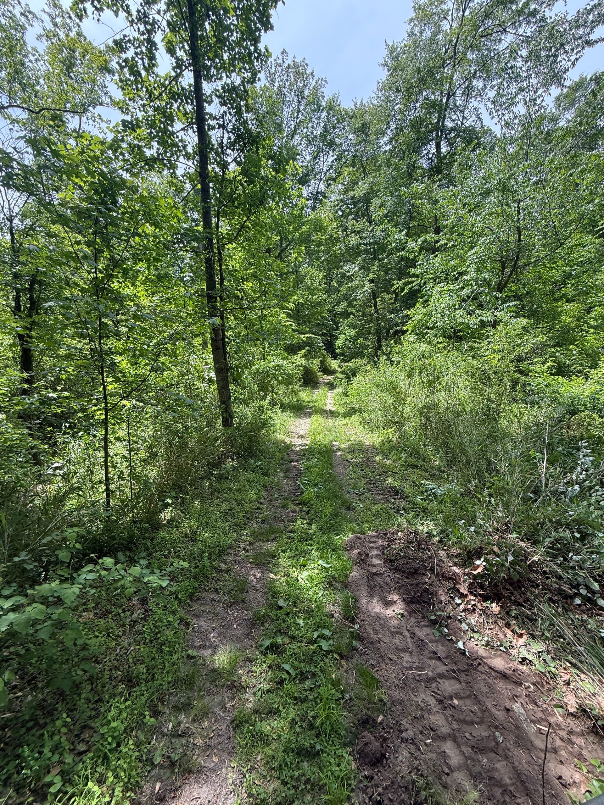 Gallery photos for Overgrown Path Gets a Proper Gravel Driveway Upgrade: Image #1