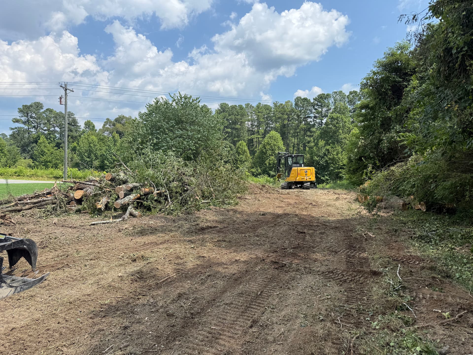 Gallery photos for Clearing the Path for New Beginnings in Woodford: Image #1