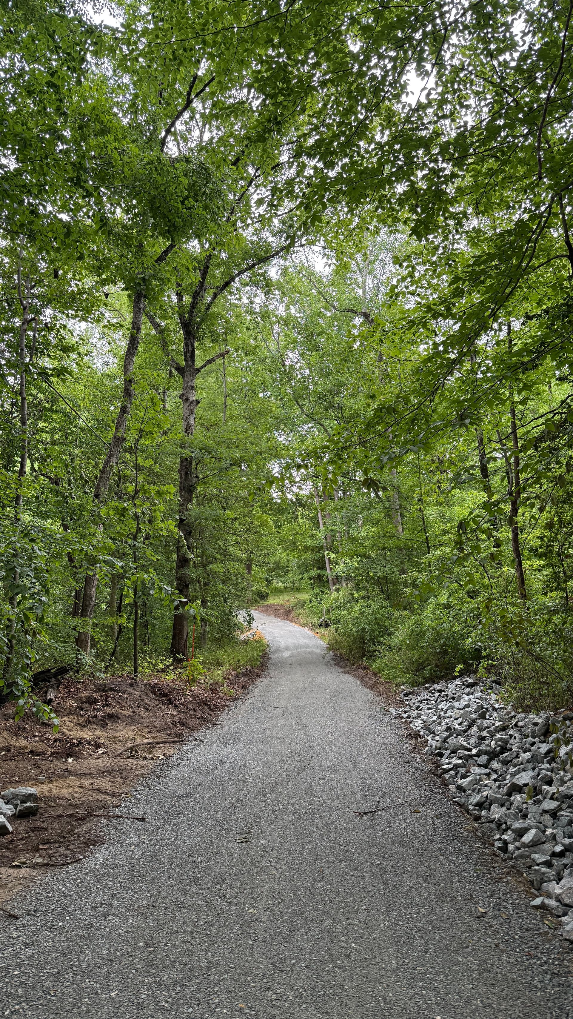 Gallery photos for Overgrown Path Gets a Proper Gravel Driveway Upgrade: Image #6