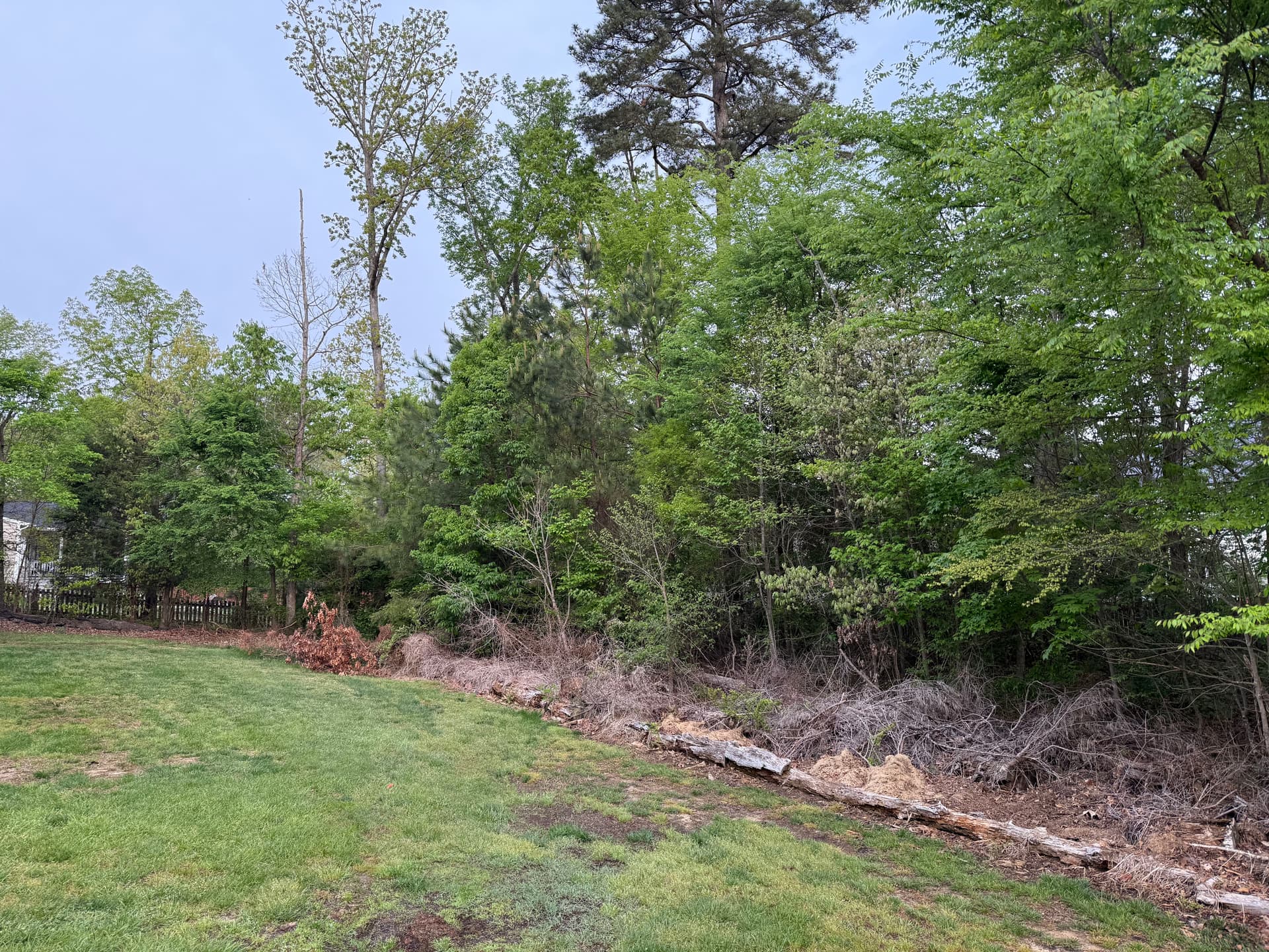 Backyard Transformation with Capece Land Solutions image