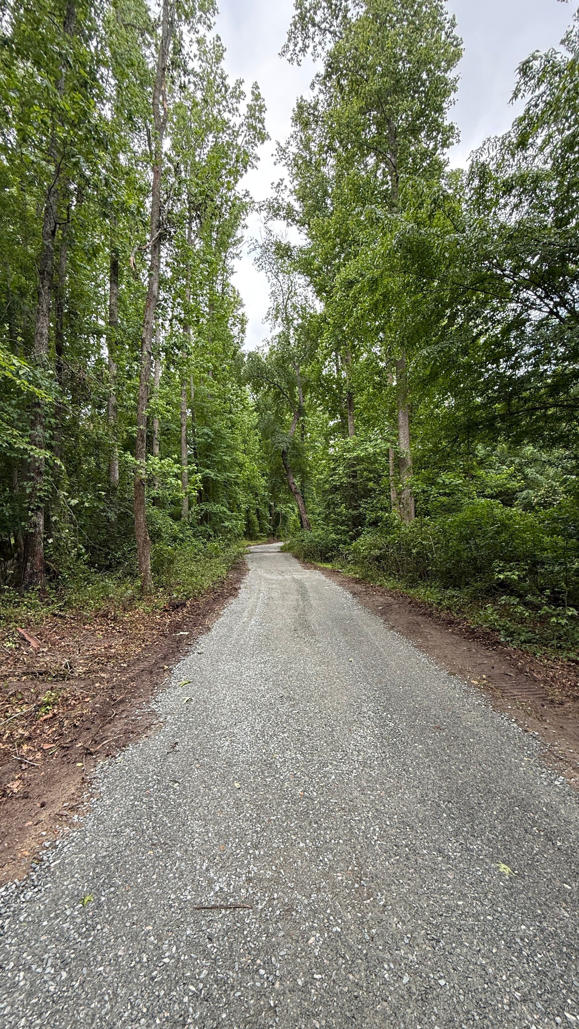 Gallery photos for Overgrown Path Gets a Proper Gravel Driveway Upgrade: Image #4