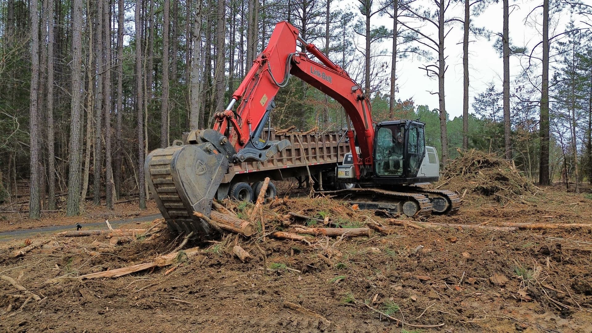 Expanding Yard Spaces with Skilled Land Clearing image