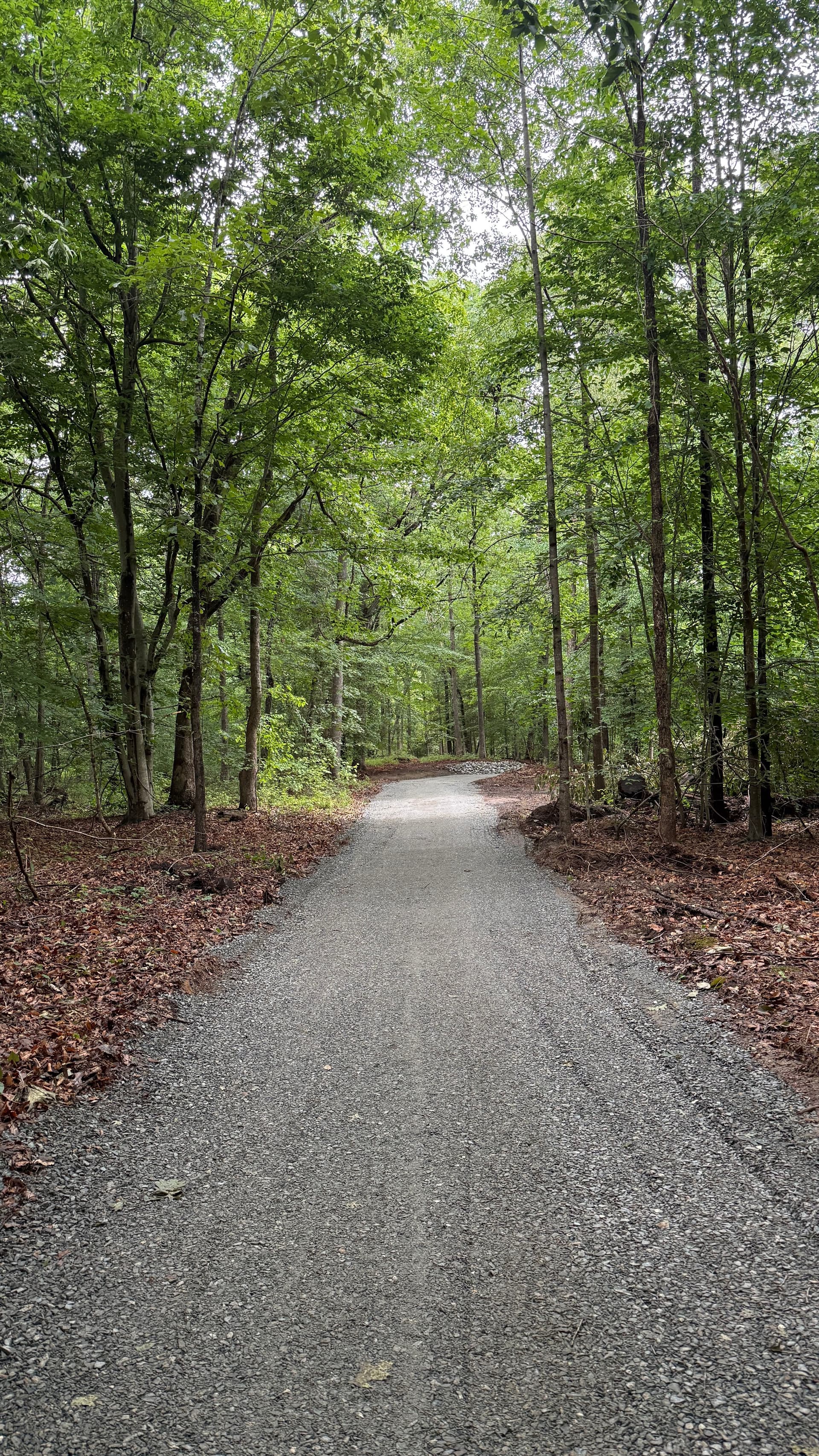 Gallery photos for Overgrown Path Gets a Proper Gravel Driveway Upgrade: Image #5